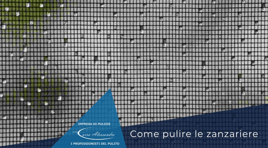 come-pulire-zanzariere-impresa-pulizie-carra-milano