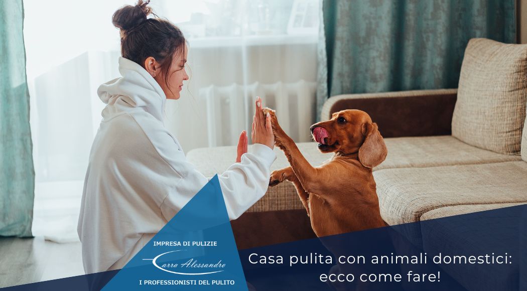 consigli-pulizie-casa-animali-domestici