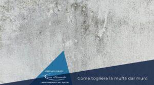 come-togliere-muffa-muro-impresa-pulizie-carra-milano